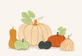 Vector card with colorful pumpkins